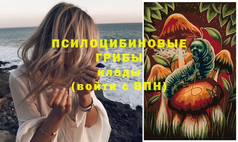 Галлюциногенные грибы Magic Shrooms  ссылка на мегу зеркало  Козельск  купить  сайты 